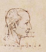 LEONARDO da Vinci Study of the proportion of the head oil